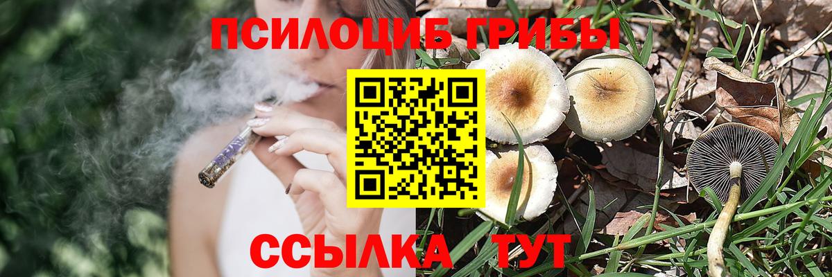 Галлюциногенные грибы GOLDEN TEACHER Кувандык