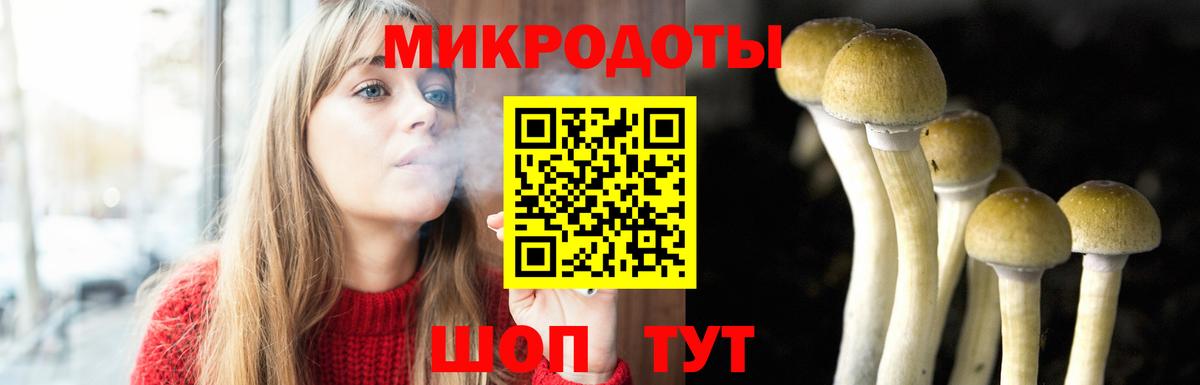 продажа наркотиков  Псилоцибиновые грибы Psilocybe  Вход с VPN  Кувандык  Псилоцибиновые грибы MAGIC MUSHROOMS 